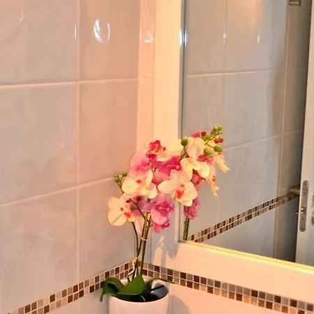 Club Olympus In Garden Appartement *