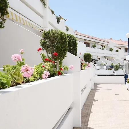 Club Olympus In Garden Lägenhet Playa de las Americas (Tenerife)